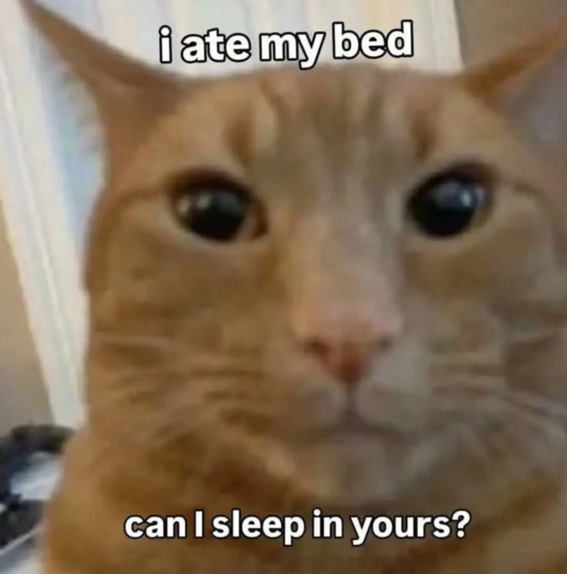 i ate my bed can I sleep in yours?
