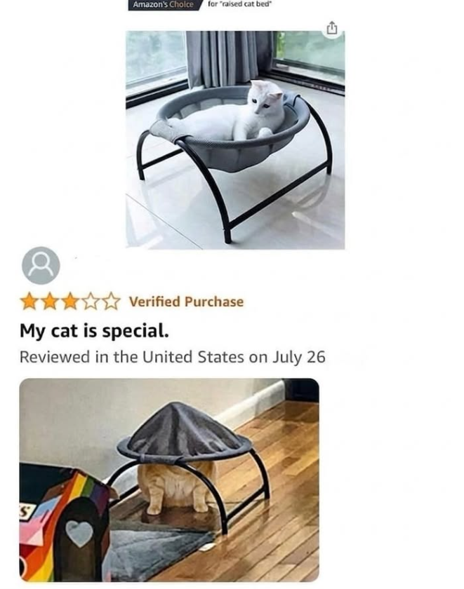 Amazon's Choice for "raised cat bed" Verified Purchase My cat is special. Reviewed in the United States on July 26 S