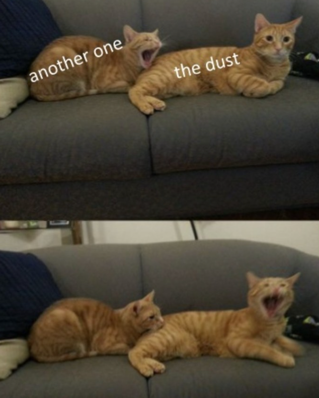 another one the dust