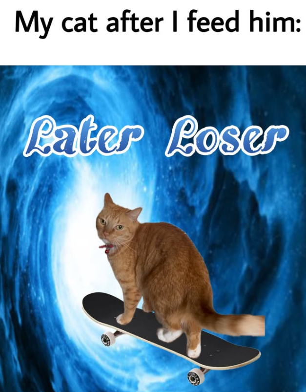 My cat after I feed him: Pater Poser