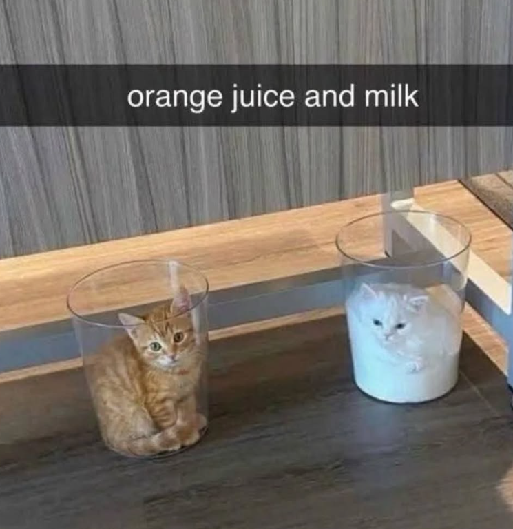 orange juice and milk
