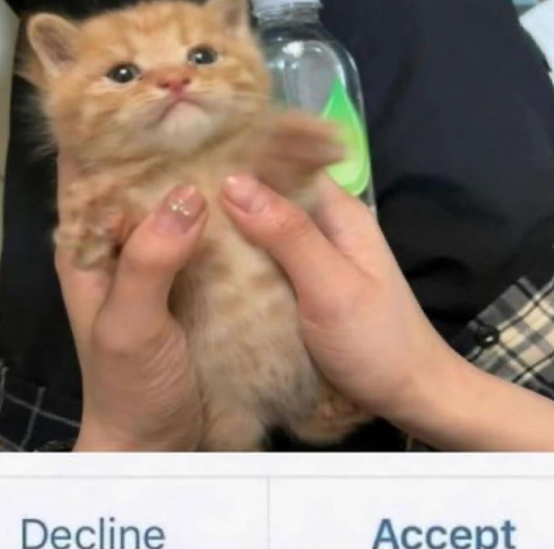 Decline Accept