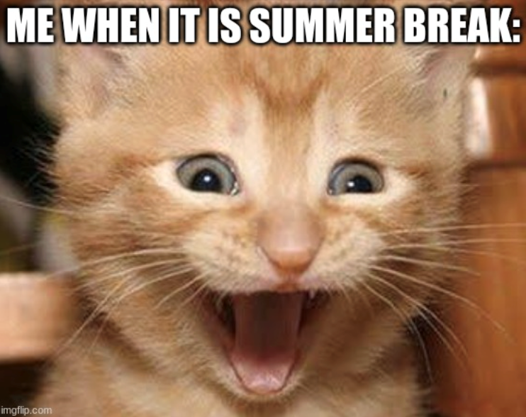 ME WHEN IT IS SUMMER BREAK: imgflip.com