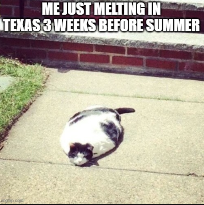 ME JUST MELTING IN TEXAS 3 WEEKS BEFORE SUMMER imgflip.com