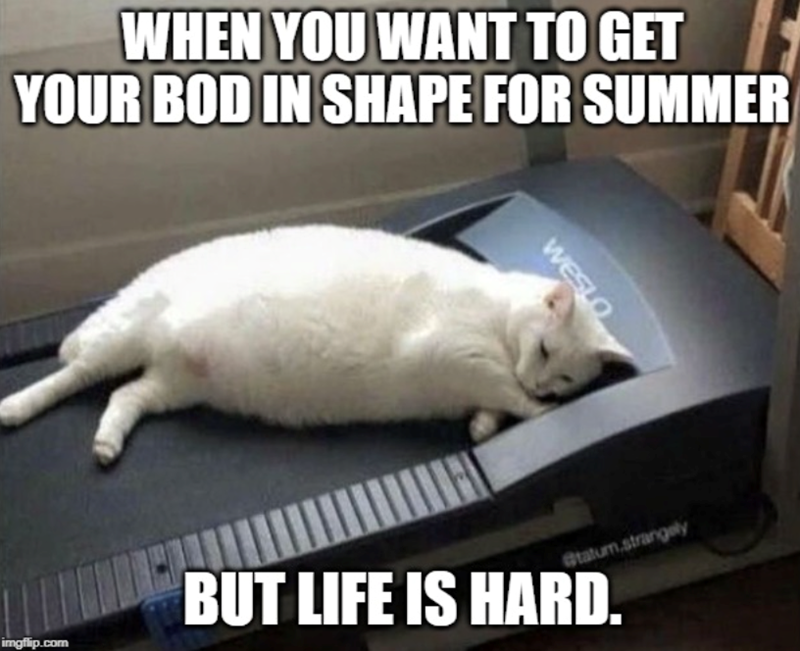 WHEN YOU WANT TO GET YOUR BOD IN SHAPE FOR SUMMER WESLO imgflip.com BUT LIFE IS HARD. @tatum.strangely