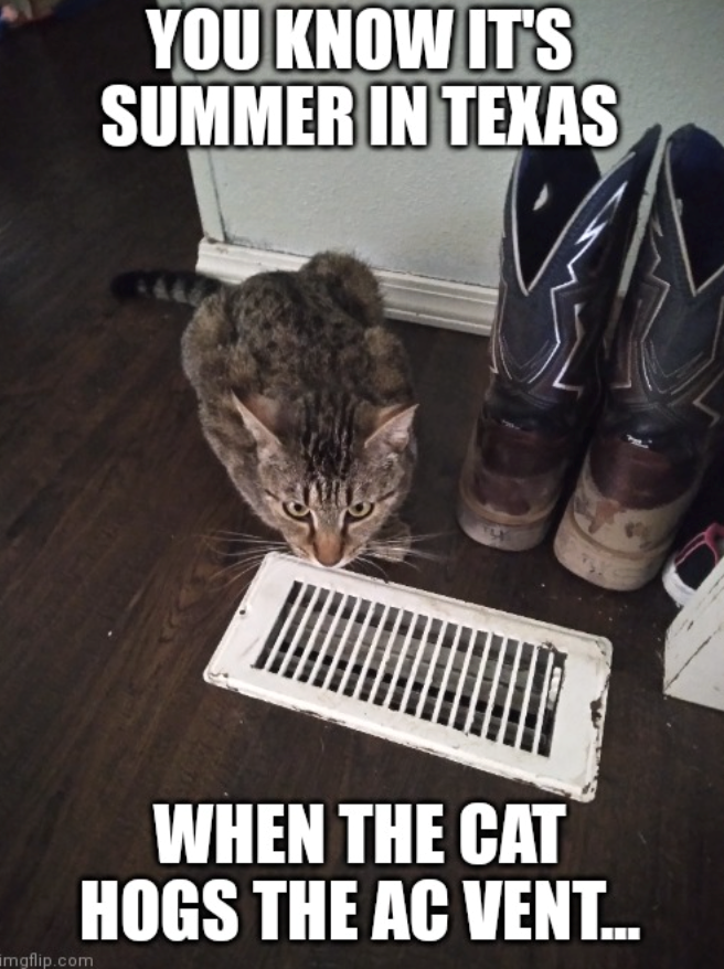 YOU KNOW IT'S SUMMER IN TEXAS imgflip.com WHEN THE CAT HOGS THE AC VENT...