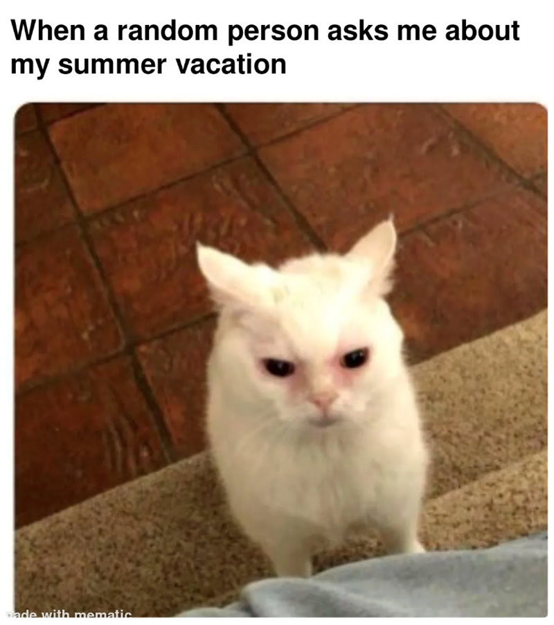 When a random person asks me about my summer vacation made with mematic