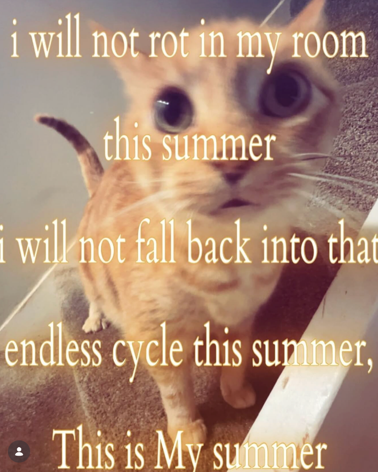 i will not rot in my room this summer i will not fall back into that endless cycle this summer, This is My summer