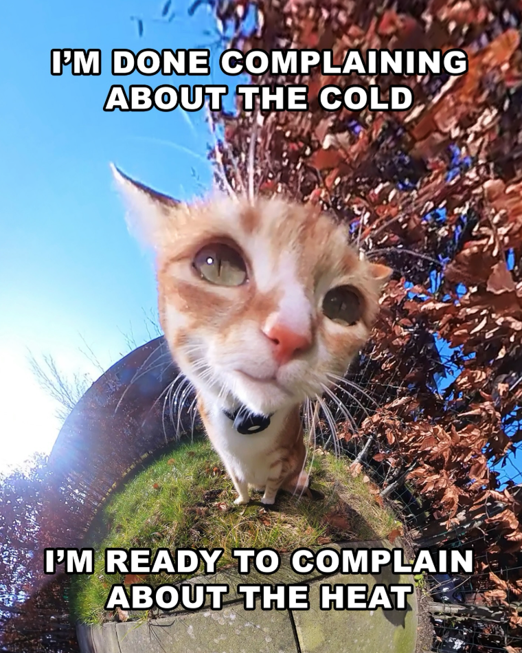 I'M DONE COMPLAINING ABOUT THE COLD I'M READY TO COMPLAIN ABOUT THE HEAT