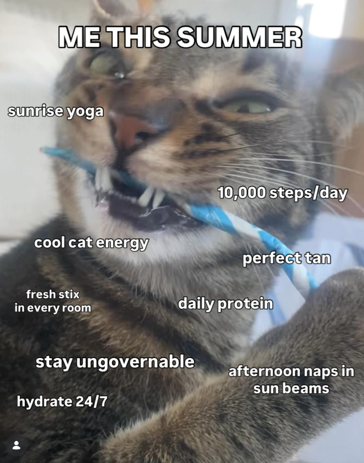 ME THIS SUMMER sunrise yoga cool cat energy fresh stix in every room 10,000 steps/day perfect tan daily protein stay ungovernable hydrate 24/7 afternoon naps in sun beams