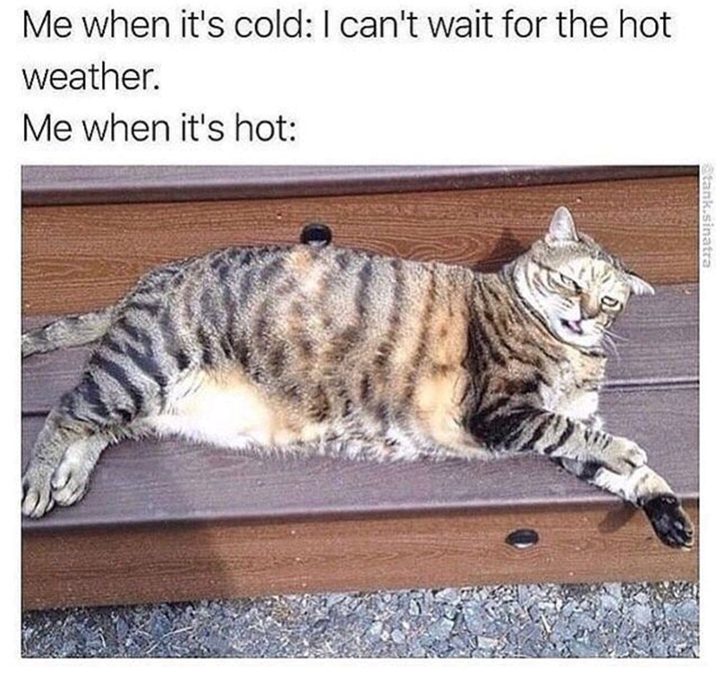 Me when it's cold: I can't wait for the hot weather. Me when it's hot: tank.sinatra