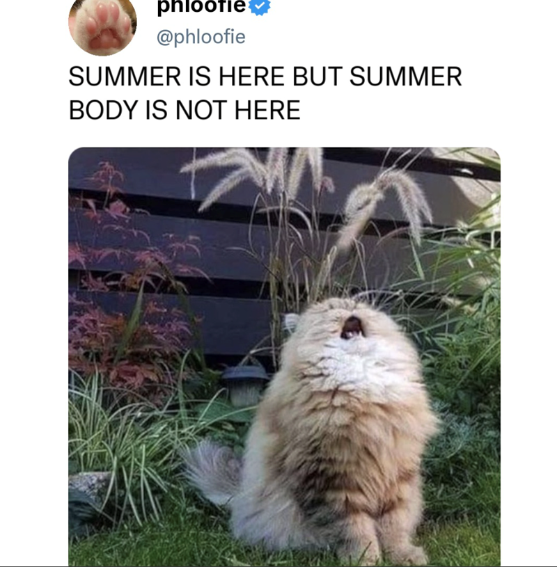 phlootie @phloofie SUMMER IS HERE BUT SUMMER BODY IS NOT HERE
