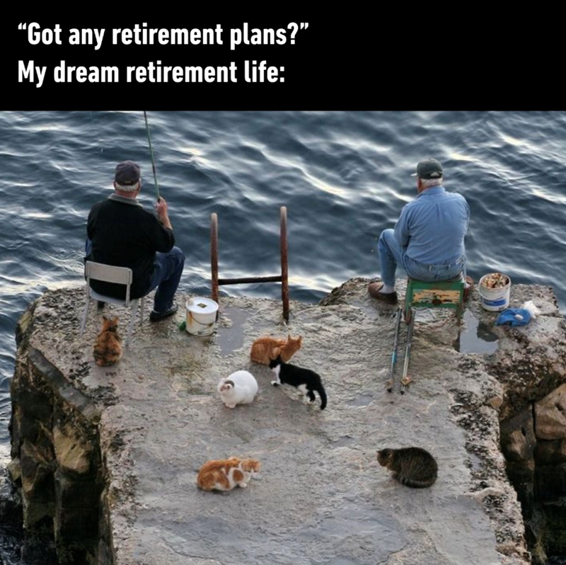 “Got any retirement plans?” My dream retirement life: