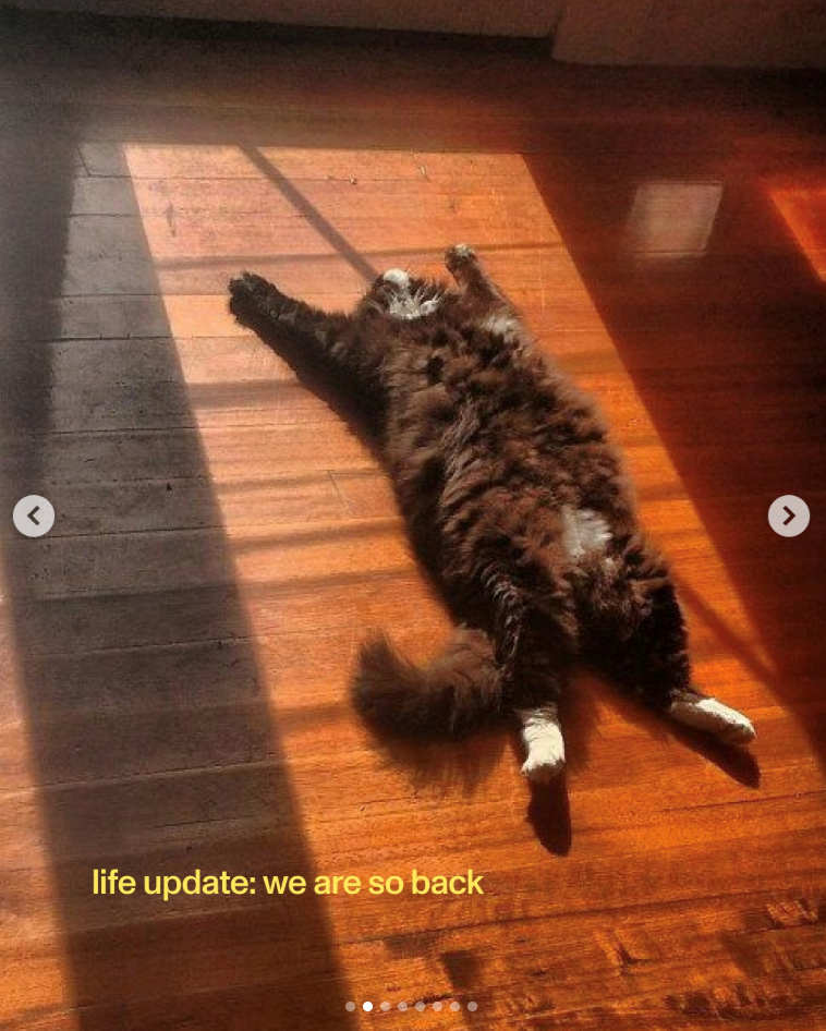 r life update: we are so back