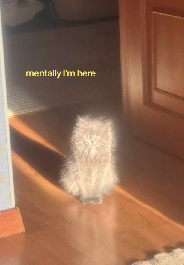 mentally I'm here