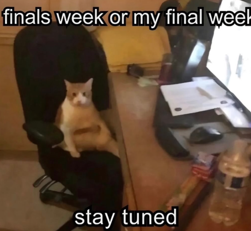 finals week or my final week stay tuned