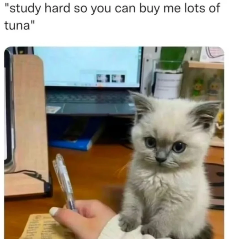 "study hard so you can buy me lots of tuna"