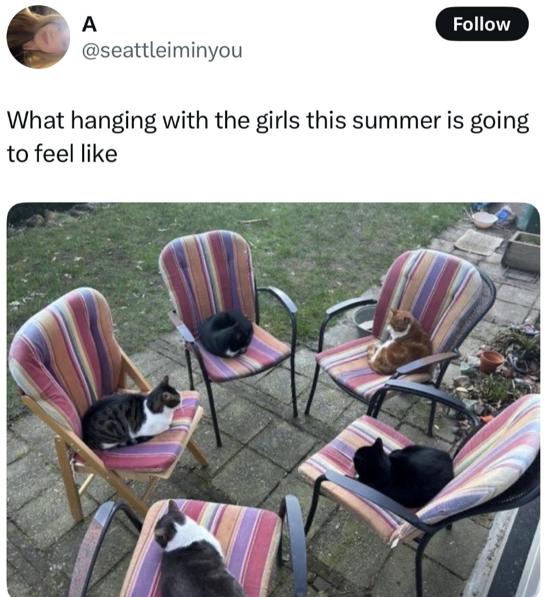 A Follow @seattleiminyou What hanging with the girls this summer is going to feel like
