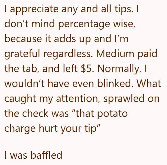 I appreciate any and all tips. I don't mind percentage wise, because it adds up and I'm grateful regardless. Medium paid the tab, and left $5. Normally, I wouldn't have even blinked. What caught my attention, sprawled on the check was "that potato charge hurt your tip" I was baffled