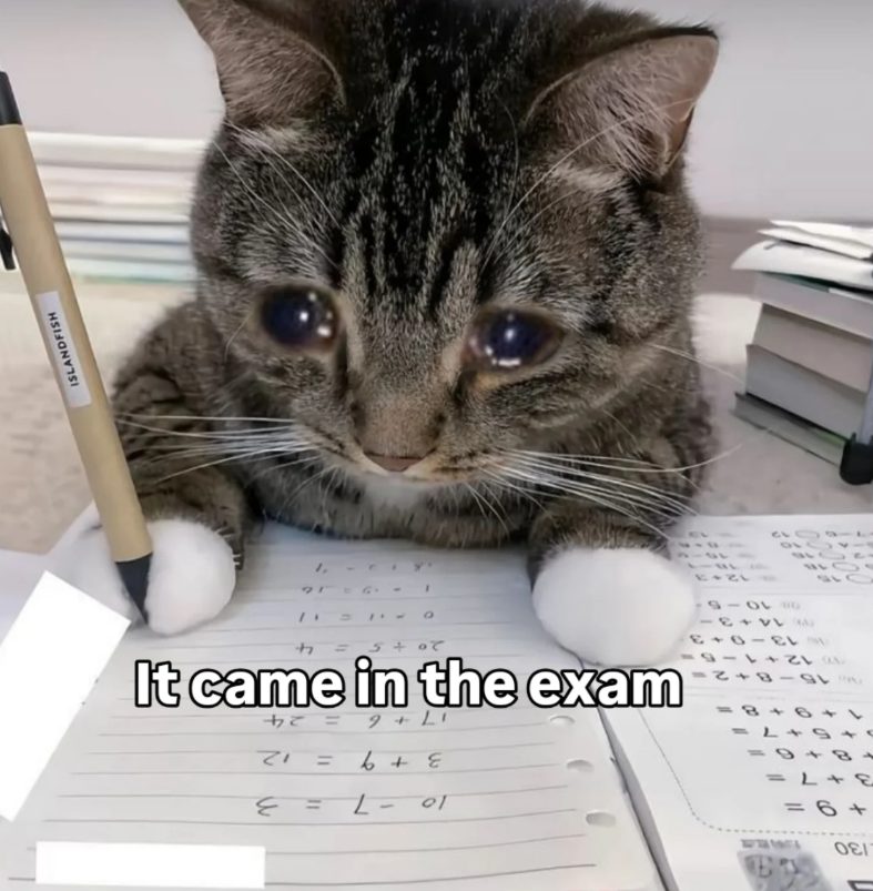 130 =6+ = L 8= 615-8 VO 12+1 819 13-0 14+ BLO 0810-5 10 1000 12 12+3 10 -7 = 3 3 +9 = 12 17+6 = 24 It came in the exam 5014 21 ISLANDFISH