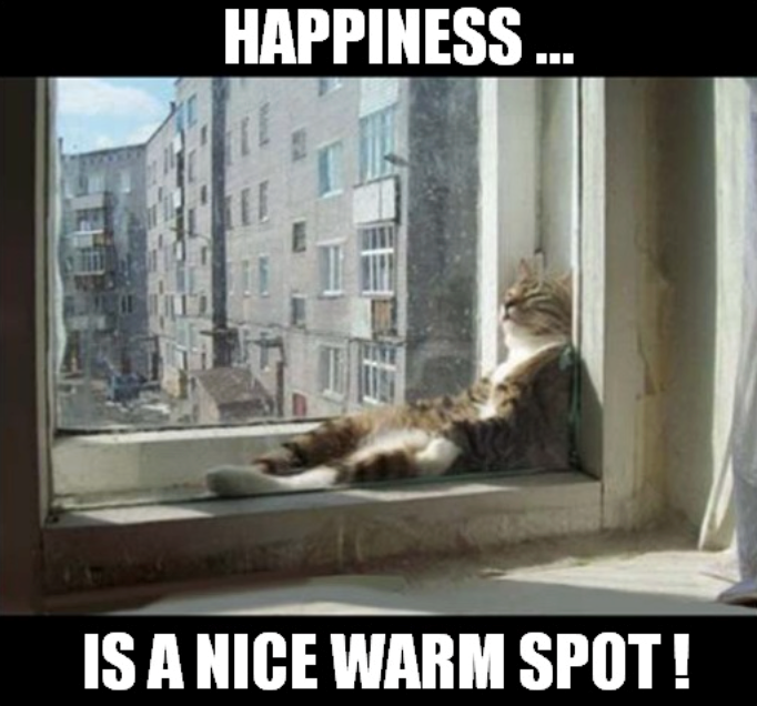 HAPPINESS. IS A NICE WARM SPOT!