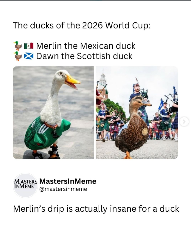 The ducks of the 2026 World Cup: Merlin the Mexican duck Dawn the Scottish duck MASTERS MastersInMeme INMEME @mastersinmeme Merlin's drip is actually insane for a duck