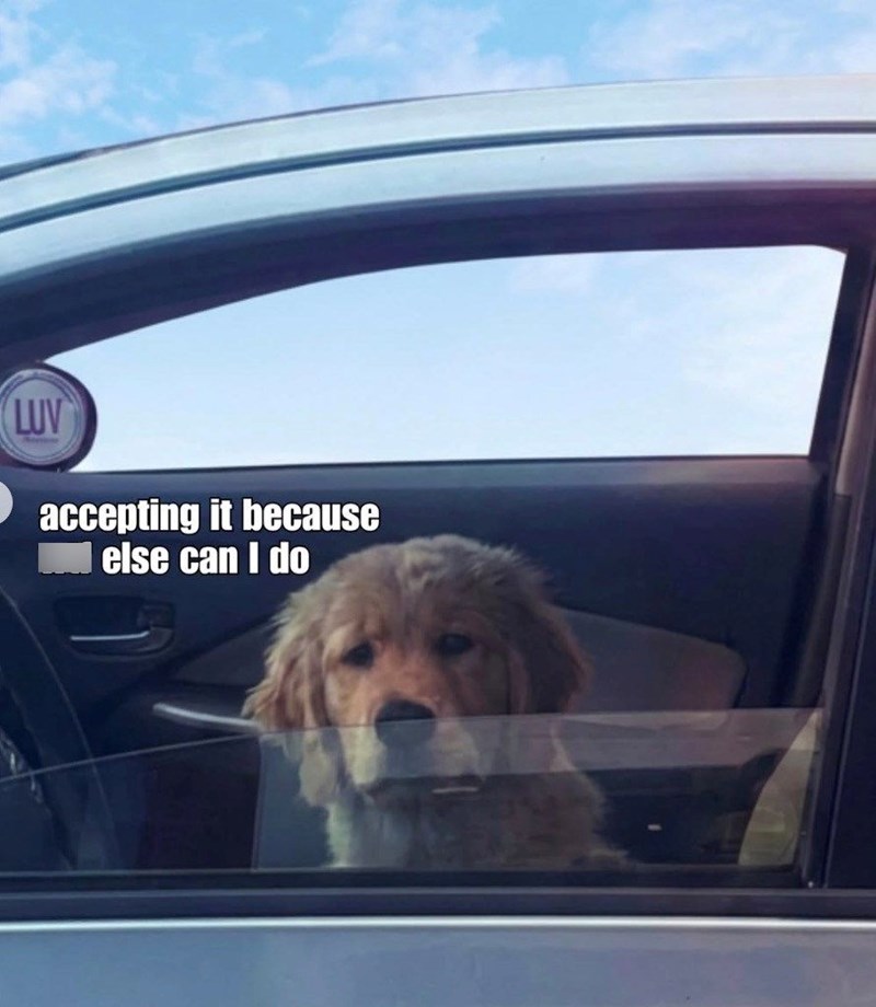 LUV accepting it because else can I do