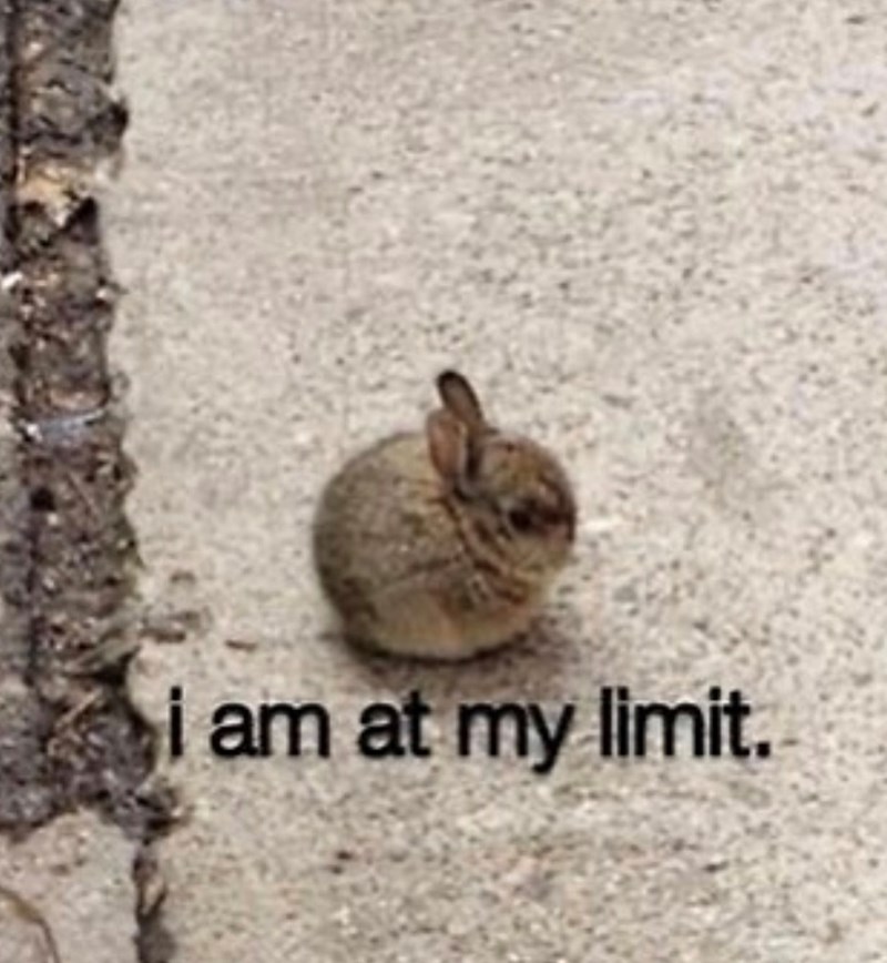 am at my limit.