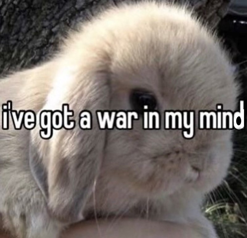 i've got a war in my mind