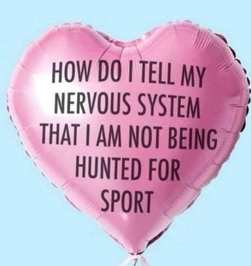 HOW DO I TELL MY NERVOUS SYSTEM THAT I AM NOT BEING HUNTED FOR SPORT