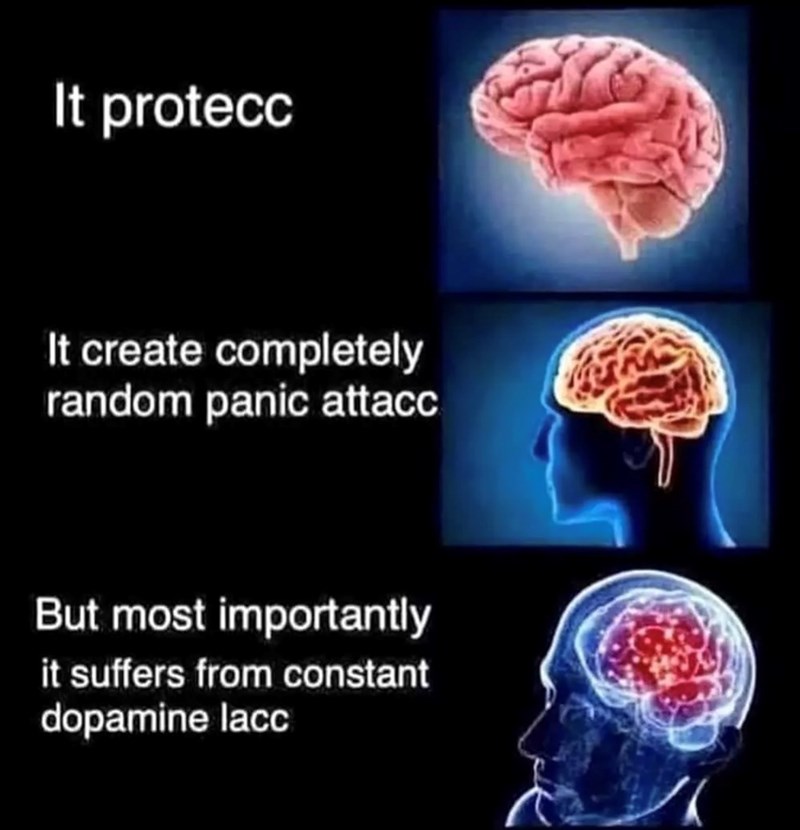 It protecc It create completely random panic attacc But most importantly it suffers from constant dopamine lacc