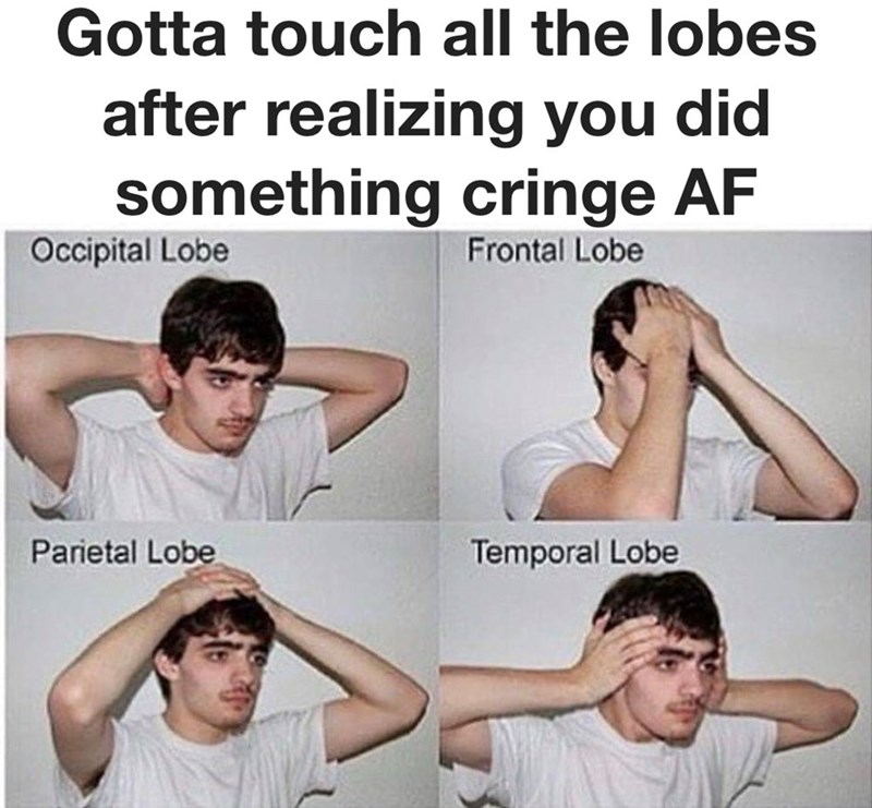 Gotta touch all the lobes after realizing you did something cringe AF Occipital Lobe Frontal Lobe Parietal Lobe Temporal Lobe