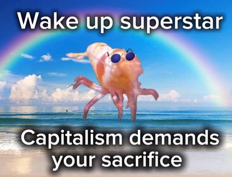 Wake up superstar Capitalism demands your sacrifice