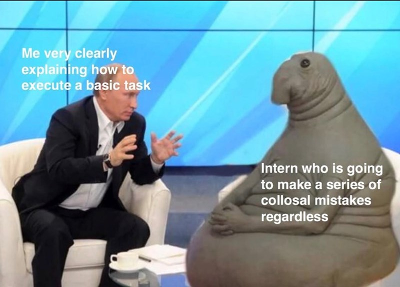 Me very clearly explaining how to execute a basic task Intern who is going to make a series of collosal mistakes regardless