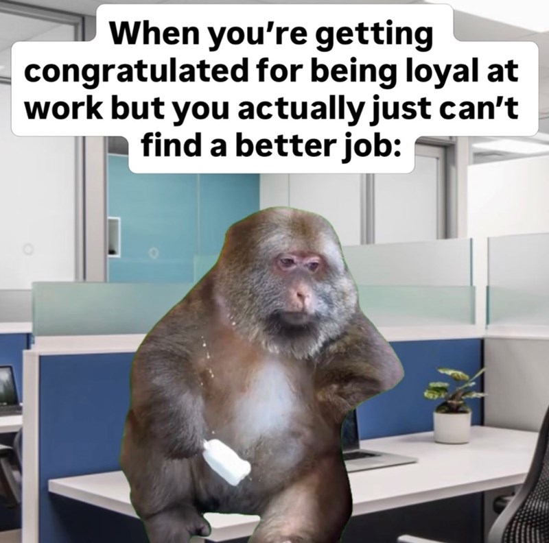 When you're getting congratulated for being loyal at work but you actually just can't find a better job: