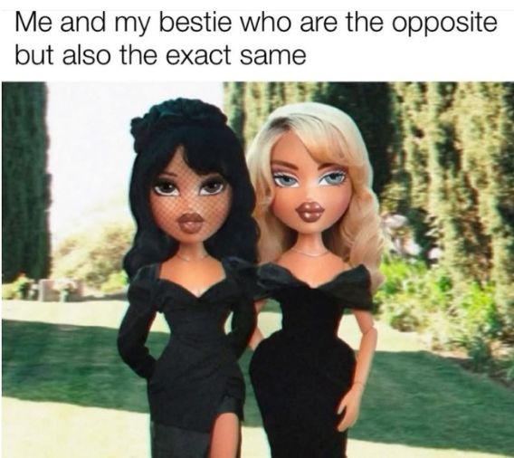 Me and my bestie who are the opposite but also the exact same
