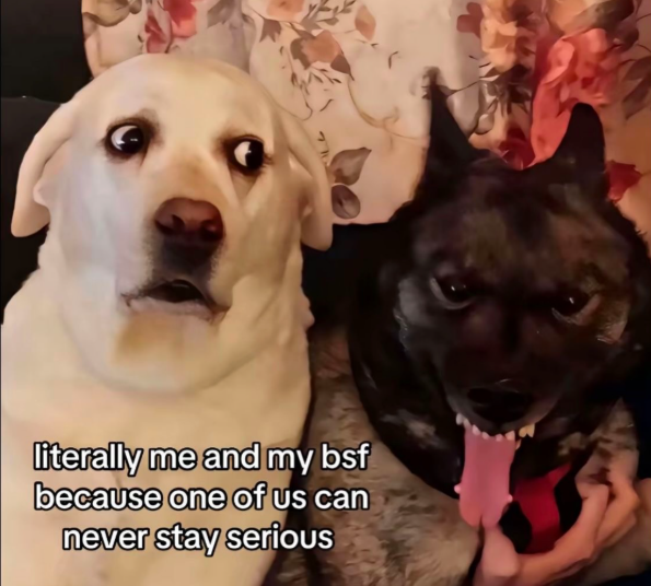literally me and my bsf because one of us can never stay serious