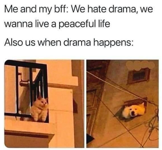 Me and my bff: We hate drama, we wanna live a peaceful life Also us when drama happens: