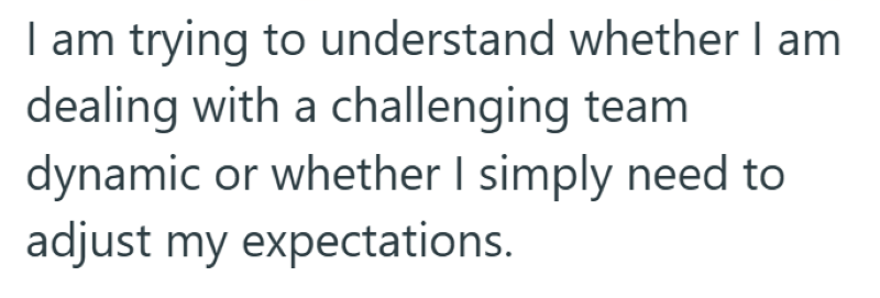 I am trying to understand whether I am dealing with a challenging team dynamic or whether I simply need to adjust my expectations.