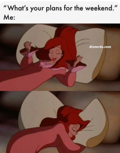 "What's your plans for the weekend." Me: disnerds.com