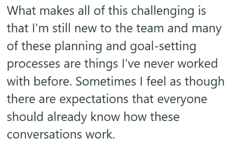 What makes all of this challenging is that I'm still new to the team and many of these planning and goal-setting processes are things I've never worked with before. Sometimes I feel as though there are expectations that everyone should already know how these conversations work.