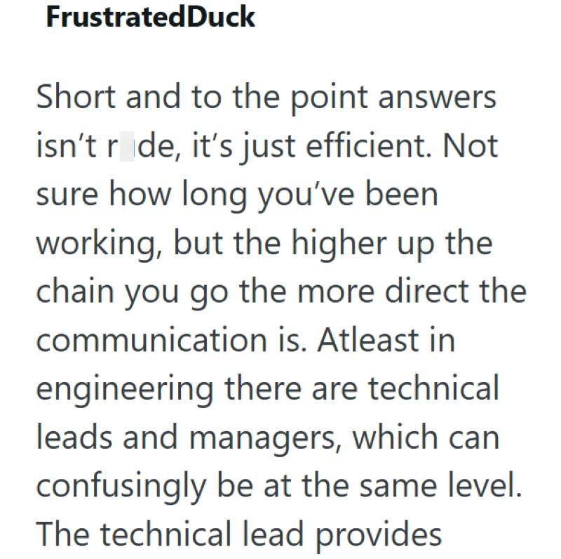 Frustrated Duck Short and to the point answers isn't r de, it's just efficient. Not sure how long you've been working, but the higher up the chain you go the more direct the communication is. Atleast in engineering there are technical leads and managers, which can confusingly be at the same level. The technical lead provides