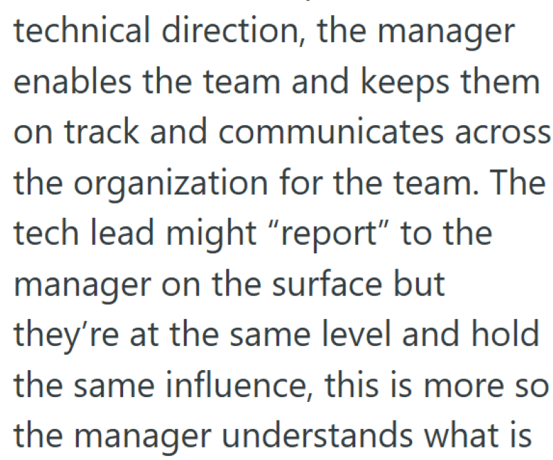 technical direction, the manager enables the team and keeps them on track and communicates across the organization for the team. The tech lead might "report" to the manager on the surface but they're at the same level and hold the same influence, this is more so the manager understands what is