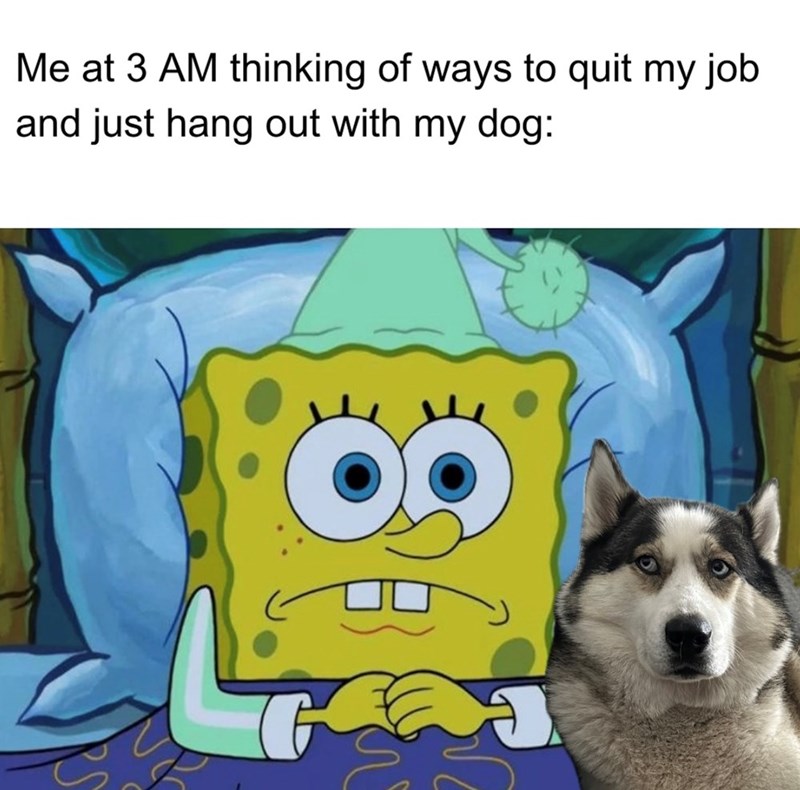 Me at 3 AM thinking of ways to quit my job and just hang out with my dog: 8€