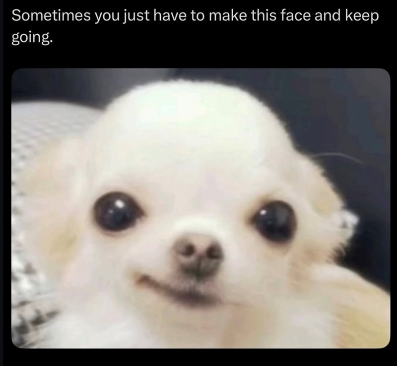 Sometimes you just have to make this face and keep going.