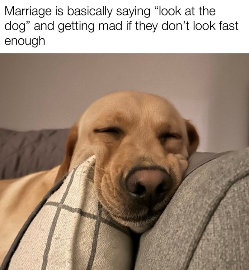 Marriage is basically saying "look at the dog" and getting mad if they don't look fast. enough