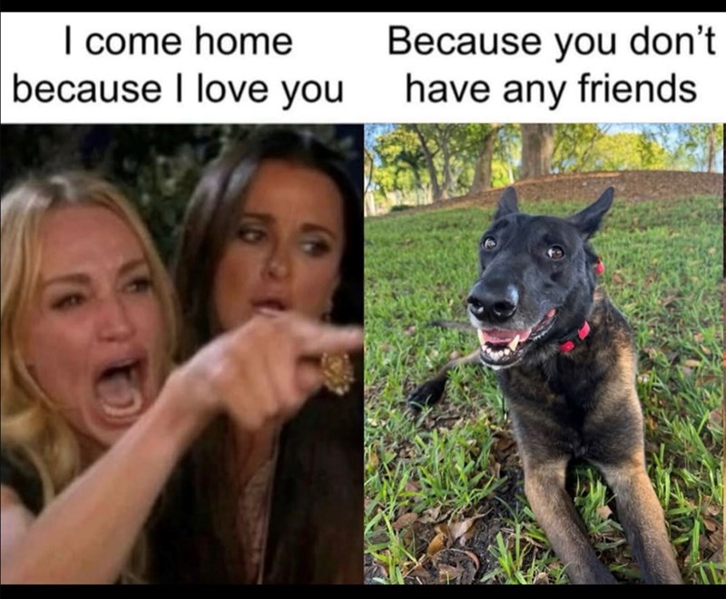I come home because I love you Because you don't have any friends
