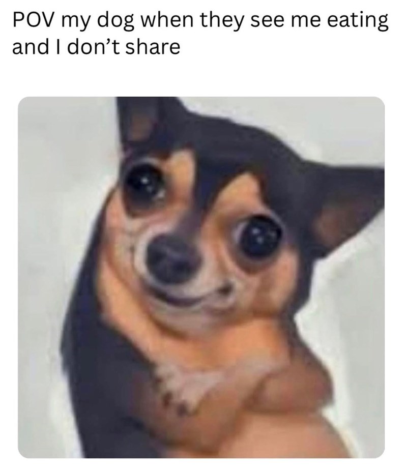 POV my dog when they see me eating and I don't share