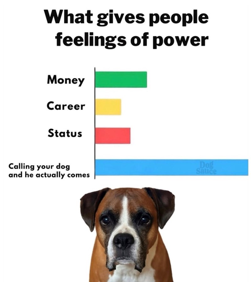 What gives people feelings of power Money Career Status Calling your dog and he actually comes Dog Sauce