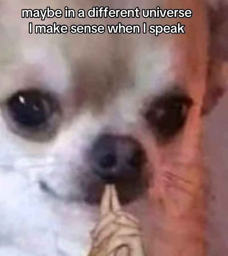 maybe in a different universe I make sense when I speak
